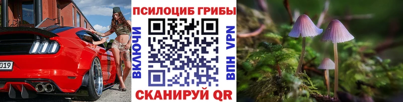 Галлюциногенные грибы Cubensis  Краснокаменск 